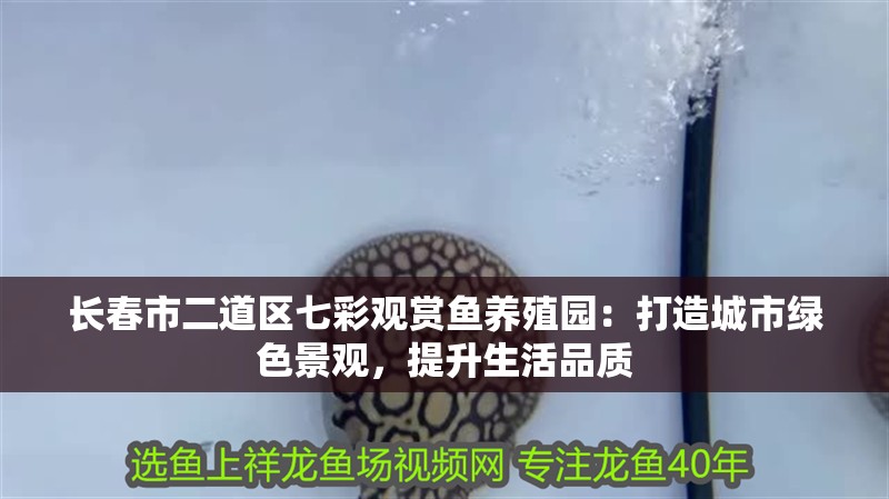 長春市二道區七彩觀賞魚養殖園：打造城市綠色景觀，提升生活品質