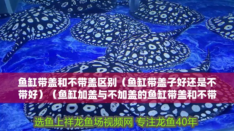 魚缸帶蓋和不帶蓋區(qū)別（魚缸帶蓋子好還是不帶好）（魚缸加蓋與不加蓋的魚缸帶蓋和不帶蓋區(qū)別是什么區(qū)別）
