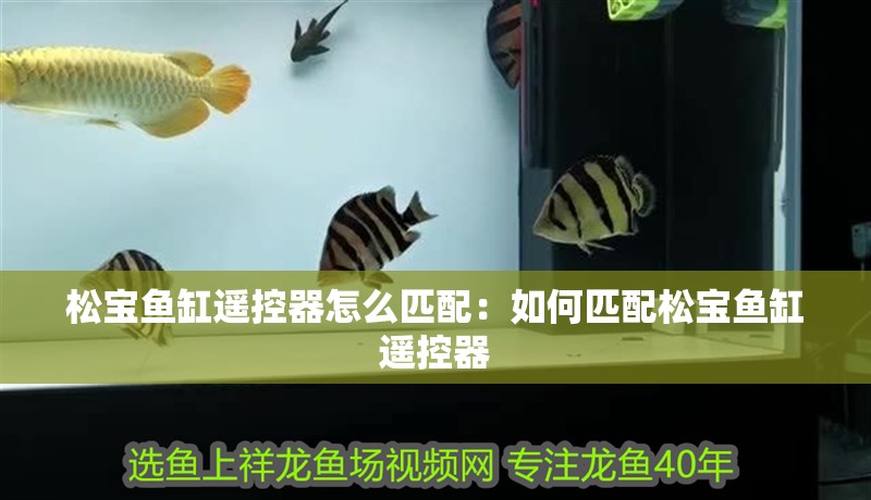 松寶魚缸遙控器怎么匹配：如何匹配松寶魚缸遙控器