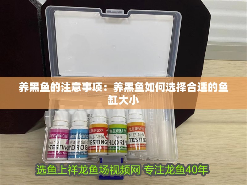 養(yǎng)黑魚(yú)的注意事項(xiàng)：養(yǎng)黑魚(yú)如何選擇合適的魚(yú)缸大小