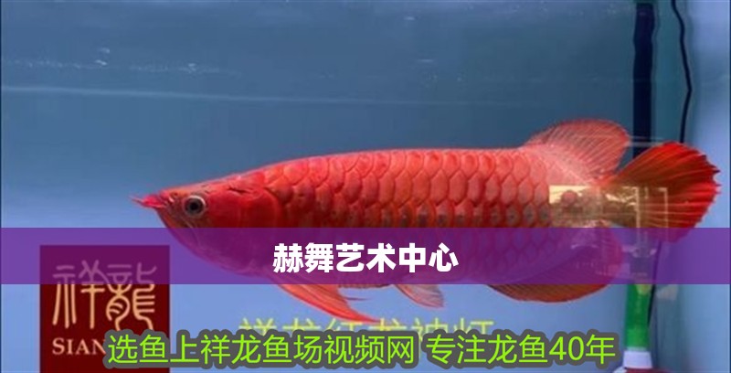 赫舞藝術(shù)中心