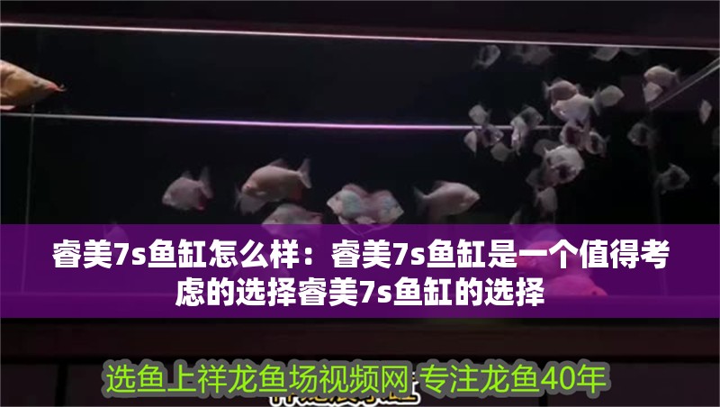 睿美7s魚缸怎么樣：睿美7s魚缸是一個值得考慮的選擇睿美7s魚缸的選擇