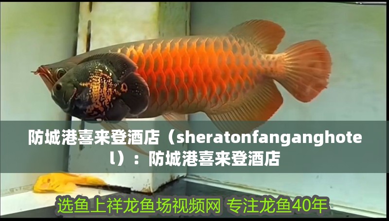 防城港喜來登酒店（sheratonfanganghotel）：防城港喜來登酒店