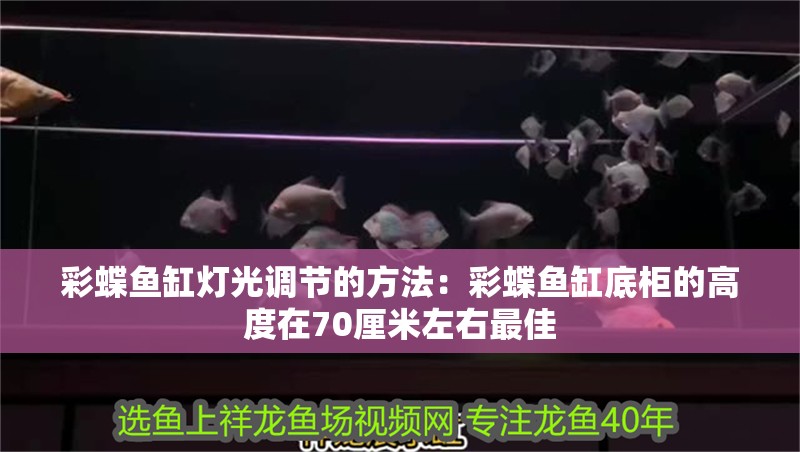 彩蝶魚缸燈光調(diào)節(jié)的方法：彩蝶魚缸底柜的高度在70厘米左右最佳