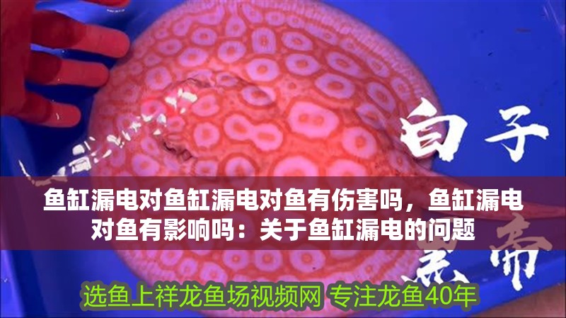魚缸漏電對魚缸漏電對魚有傷害嗎，魚缸漏電對魚有影響嗎：關于魚缸漏電的問題