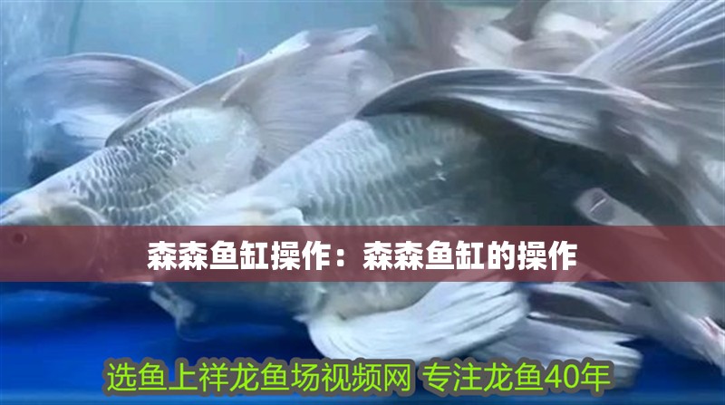 森森魚缸操作：森森魚缸的操作