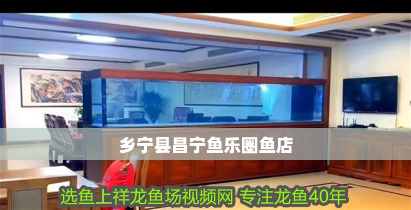 鄉寧縣昌寧魚樂圈魚店