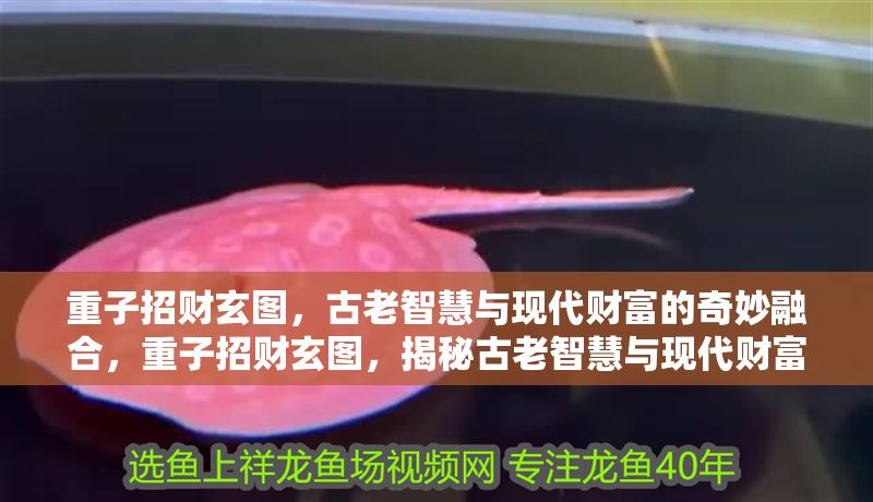 重子招財玄圖，古老智慧與現代財富的奇妙融合，重子招財玄圖，揭秘古老智慧與現代財富的完美融合之道 重子招財玄圖，古老智慧與現代財富的奇妙融合，重子招財玄圖，揭秘古老智慧與現代財富的完美融合之道 龍魚百科 第1張