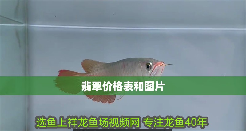 翡翠價格表和圖片