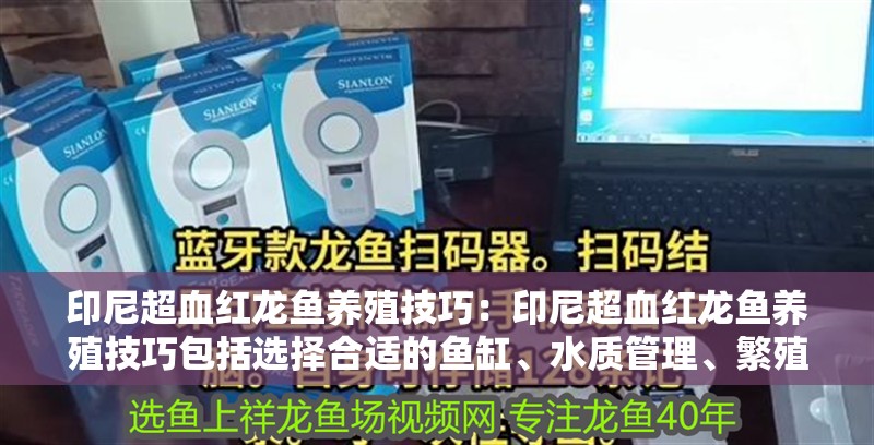 印尼超血紅龍魚養殖技巧：印尼超血紅龍魚養殖技巧包括選擇合適的魚缸、水質管理、繁殖技巧 印尼超血紅龍魚養殖技巧：印尼超血紅龍魚養殖技巧包括選擇合適的魚缸、水質管理、繁殖技巧 龍魚百科