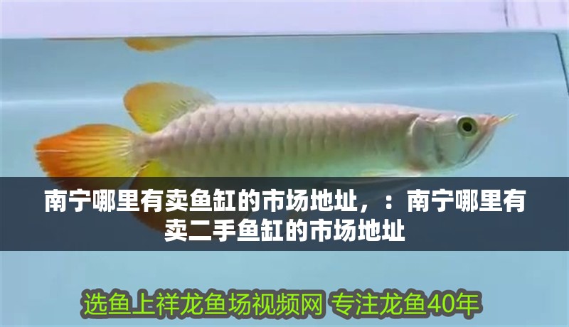 南寧哪里有賣魚缸的市場地址，：南寧哪里有賣二手魚缸的市場地址 南寧哪里有賣魚缸的市場地址，：南寧哪里有賣二手魚缸的市場地址 魚缸百科