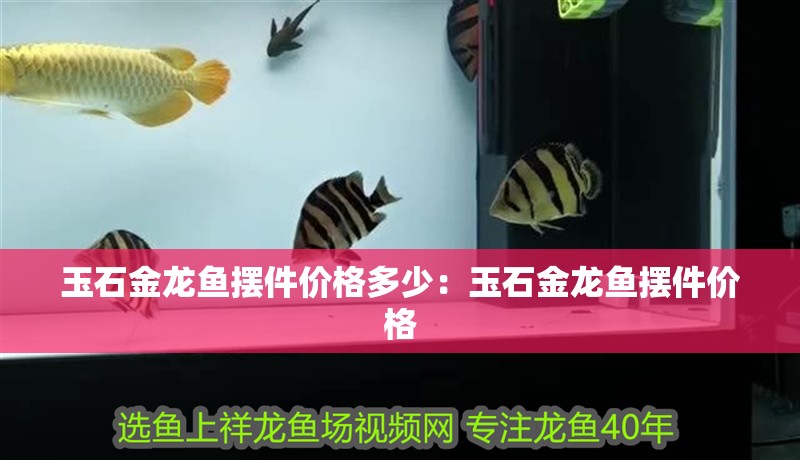玉石金龍魚擺件價格多少：玉石金龍魚擺件價格 玉石金龍魚擺件價格多少：玉石金龍魚擺件價格 龍魚百科