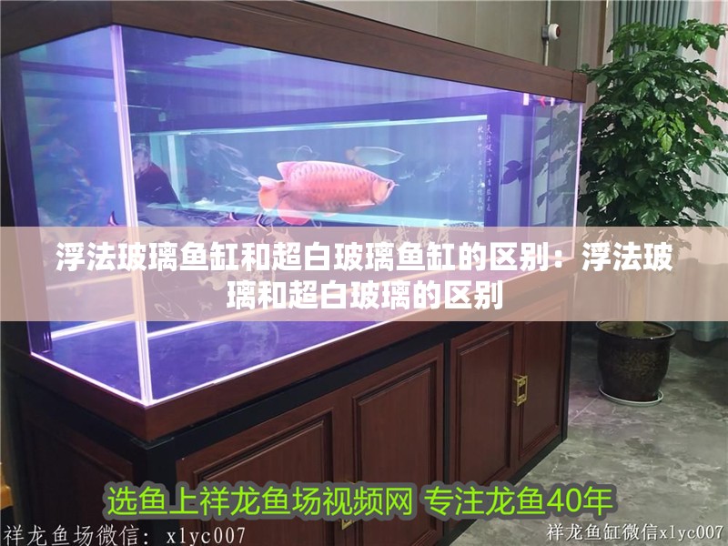 浮法玻璃魚缸和超白玻璃魚缸的區別：浮法玻璃和超白玻璃的區別