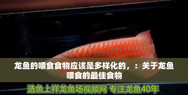 龍魚的喂食食物應該是多樣化的，：關于龍魚喂食的最佳食物