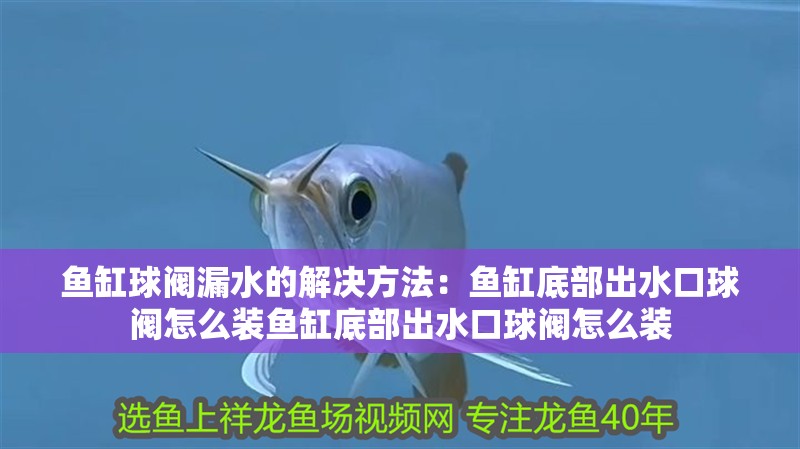 魚缸球閥漏水的解決方法：魚缸底部出水口球閥怎么裝魚缸底部出水口球閥怎么裝
