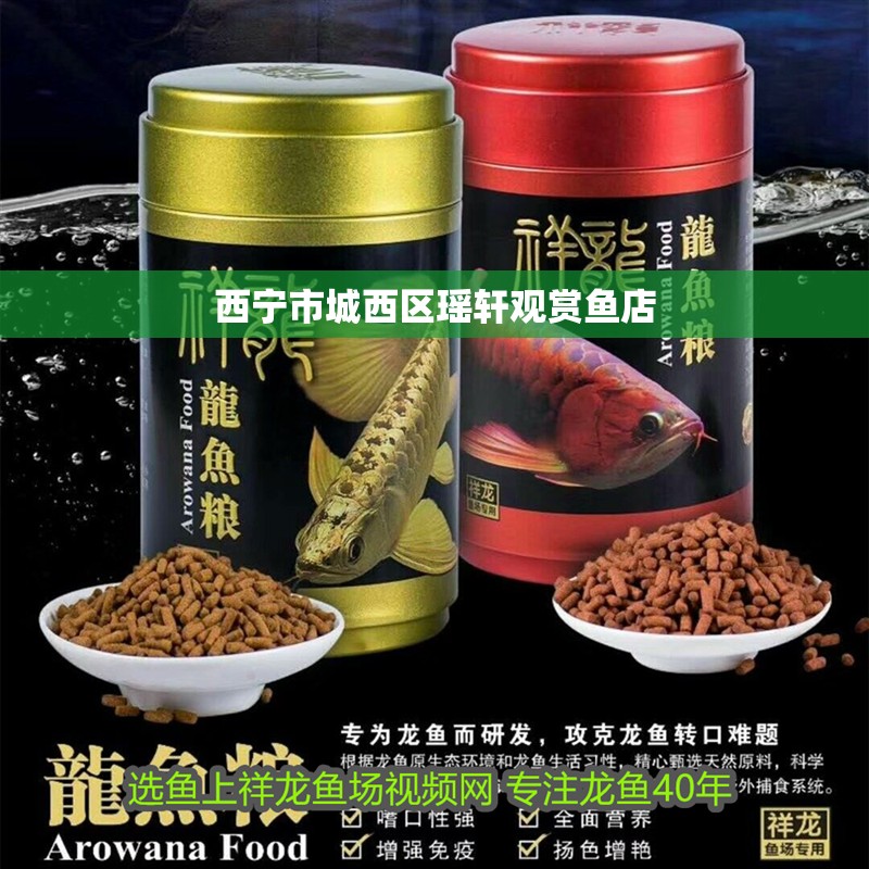 西寧市城西區(qū)瑤軒觀賞魚店