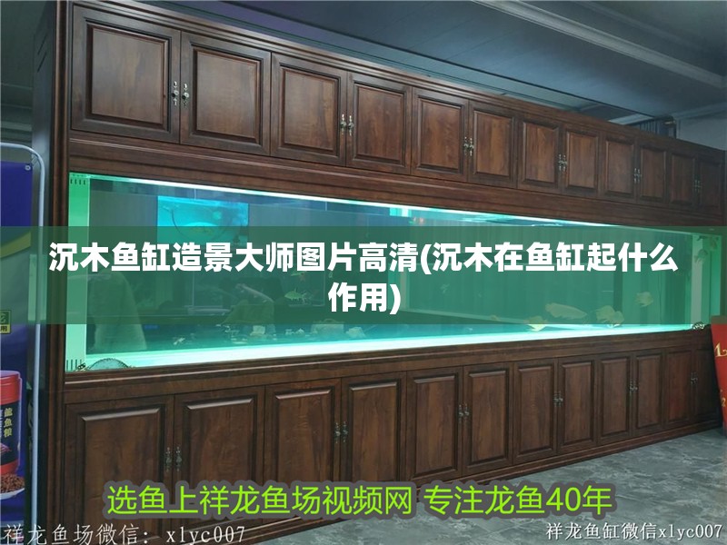 沉木魚缸造景大師圖片高清(沉木在魚缸起什么作用)