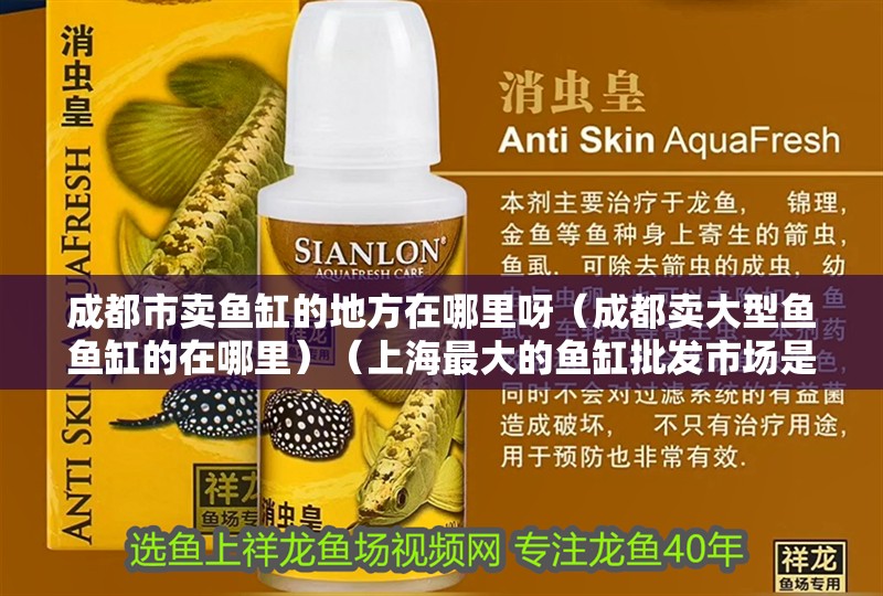 成都市賣魚缸的地方在哪里呀（成都賣大型魚魚缸的在哪里）（上海最大的魚缸批發市場是成都最大的魚缸批發市場）