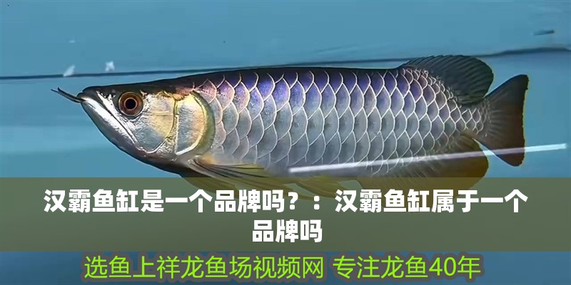 漢霸魚缸是一個(gè)品牌嗎？：漢霸魚缸屬于一個(gè)品牌嗎