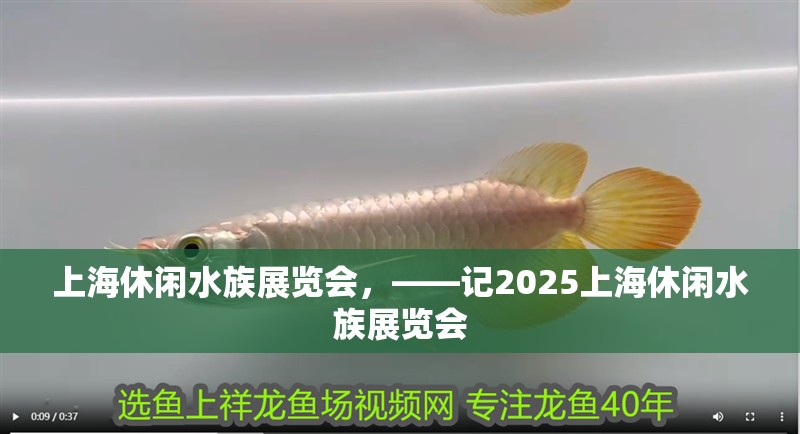 上海休閑水族展覽會，——記2025上海休閑水族展覽會 上海休閑水族展覽會，——記2025上海休閑水族展覽會 龍魚論壇