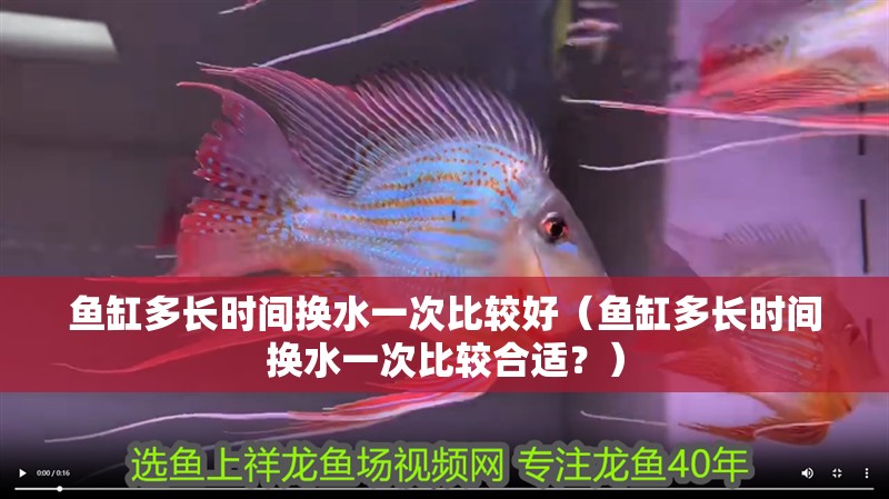 魚缸多長時間換水一次比較好（魚缸多長時間換水一次比較合適？）