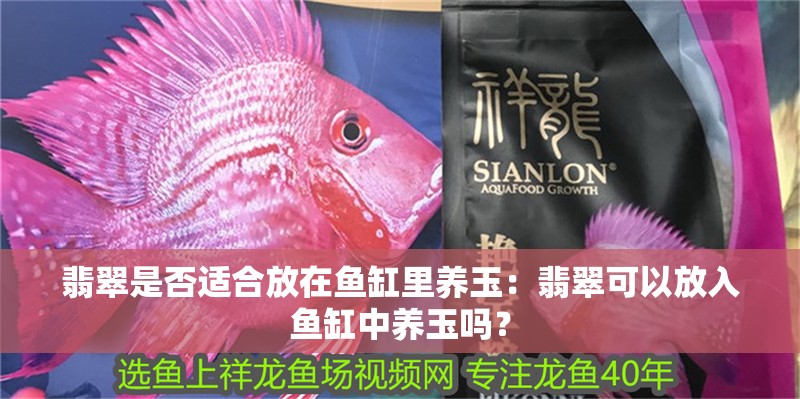 翡翠是否適合放在魚缸里養玉：翡翠可以放入魚缸中養玉嗎？