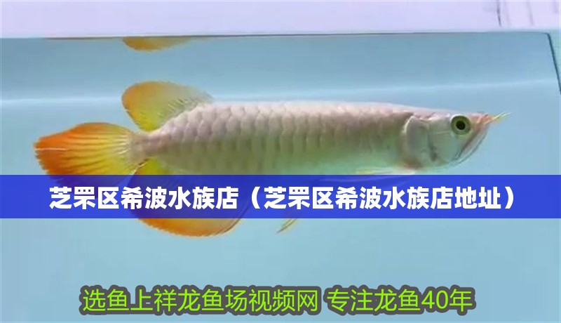 芝罘區希波水族店（芝罘區希波水族店地址）