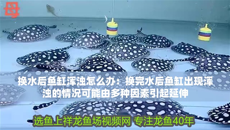 換水后魚缸渾濁怎么辦：換完水后魚缸出現渾濁的情況可能由多種因素引起延伸