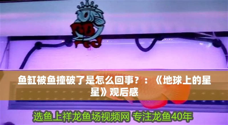 魚(yú)缸過(guò)濾器選購(gòu)指南:自制魚(yú)缸過(guò)濾器魚(yú)缸上置過(guò)濾器對(duì)于養(yǎng)魚(yú)愛(ài)好者的必備知識(shí) 魚(yú)缸被魚(yú)撞破了是怎么回事?:《地球上的星星》觀后感 魚(yú)缸百科 魚(yú)缸被魚(yú)撞破了是怎么回事?:《地球上的星星》觀后感 魚(yú)缸被魚(yú)撞破了是怎么回事?:《地球上的星星》觀后感 魚(yú)缸百科