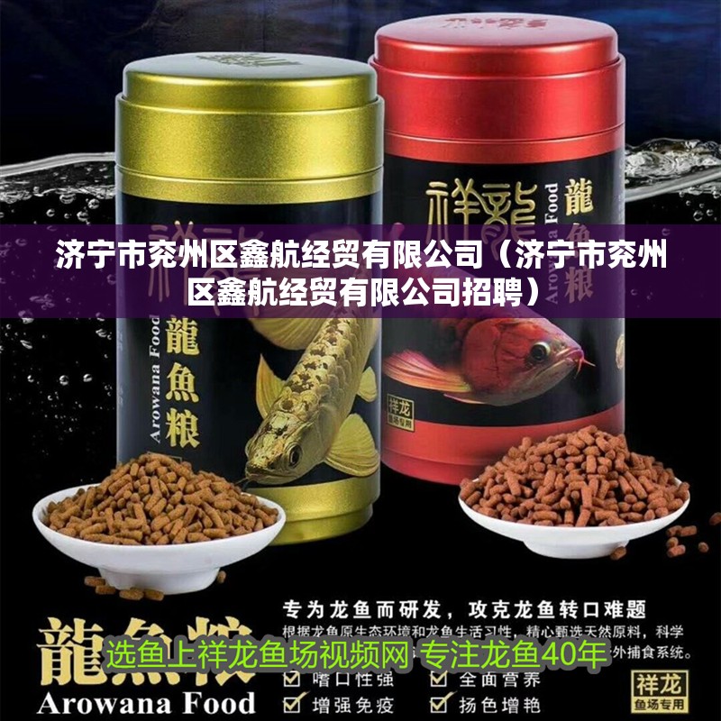 濟寧市兗州區鑫航經貿有限公司（濟寧市兗州區鑫航經貿有限公司招聘）