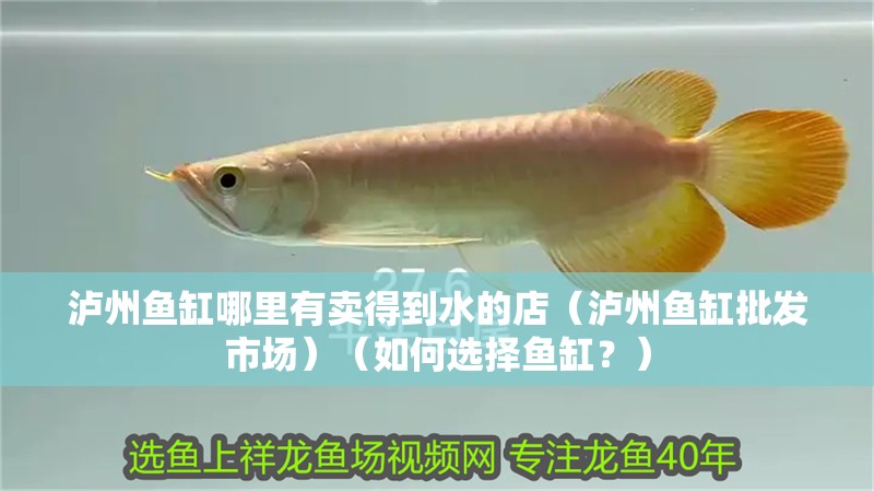 瀘州魚缸哪里有賣得到水的店（瀘州魚缸批發市場）（如何選擇魚缸？）