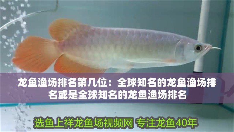 龍魚漁場排名第幾位：全球知名的龍魚漁場排名或是全球知名的龍魚漁場排名