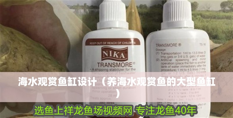 海水觀賞魚缸設(shè)計（養(yǎng)海水觀賞魚的大型魚缸）