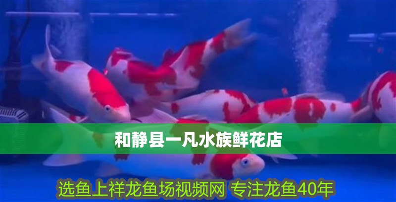 和靜縣一凡水族鮮花店