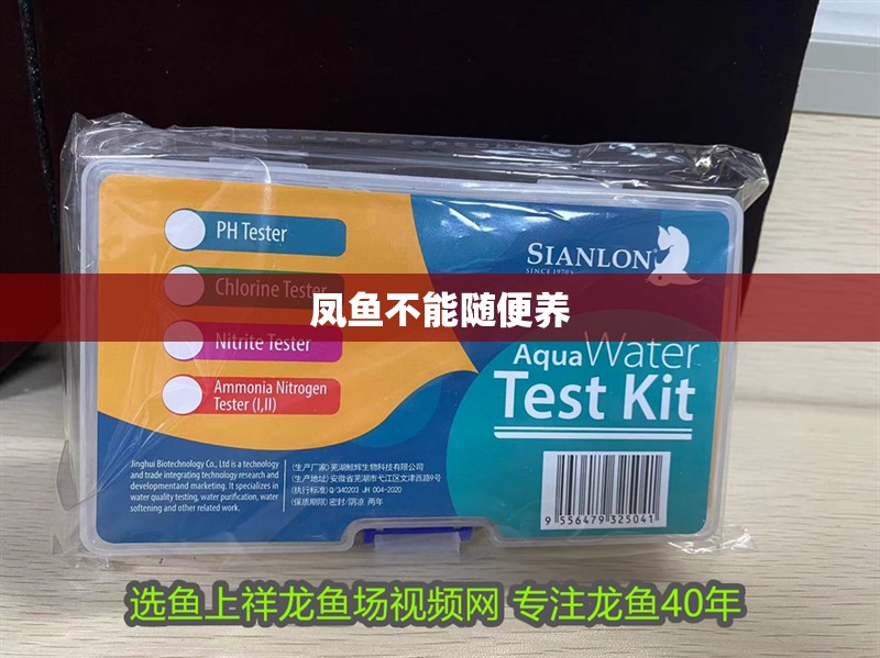 鳳魚不能隨便養(yǎng)