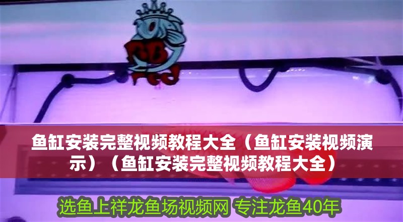 魚缸安裝完整視頻教程大全（魚缸安裝視頻演示）（魚缸安裝完整視頻教程大全）