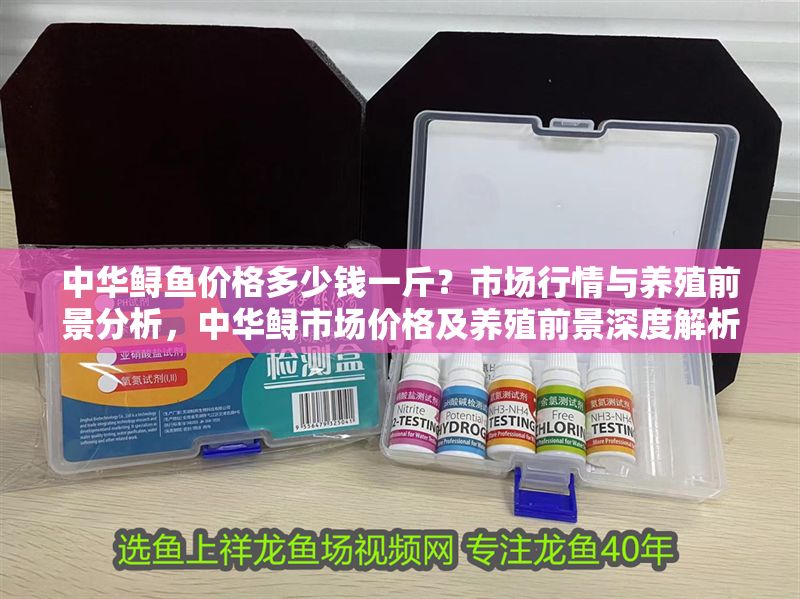 中華鱘魚價格多少錢一斤？市場行情與養殖前景分析，中華鱘市場價格及養殖前景深度解析