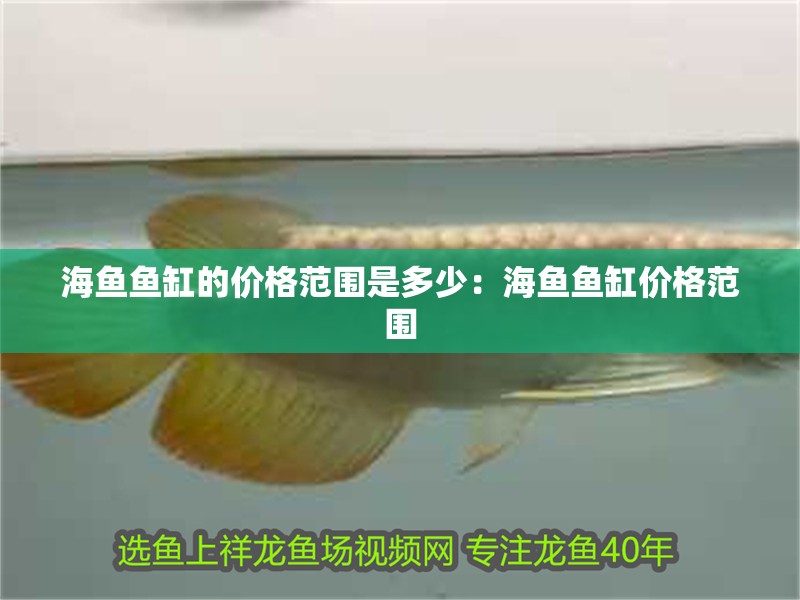 海魚魚缸的價格范圍是多少：海魚魚缸價格范圍
