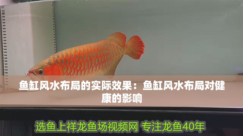 魚缸風(fēng)水布局的實(shí)際效果：魚缸風(fēng)水布局對(duì)健康的影響