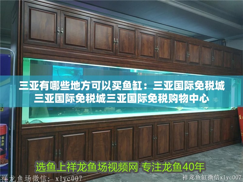 三亞有哪些地方可以買魚缸：三亞國際免稅城三亞國際免稅城三亞國際免稅購物中心