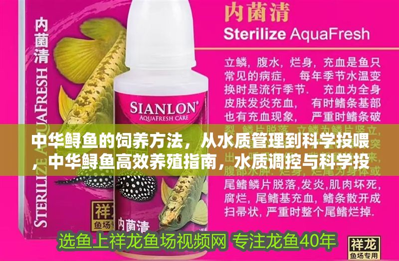 中華鱘魚的飼養方法，從水質管理到科學投喂，中華鱘魚高效養殖指南，水質調控與科學投喂關鍵技術 中華鱘魚的飼養方法，從水質管理到科學投喂，中華鱘魚高效養殖指南，水質調控與科學投喂關鍵技術 龍魚百科 第1張