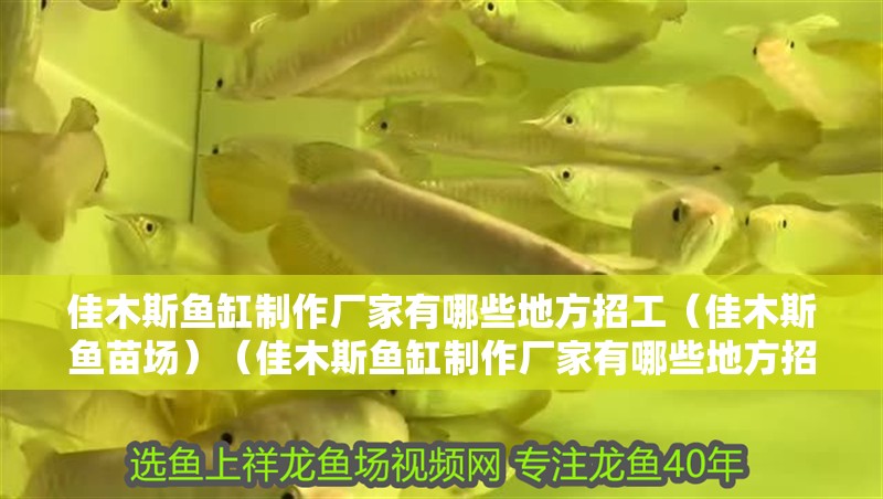佳木斯魚(yú)缸制作廠家有哪些地方招工（佳木斯魚(yú)苗場(chǎng)）（佳木斯魚(yú)缸制作廠家有哪些地方招工）