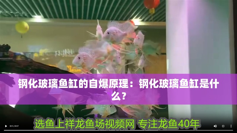 鋼化玻璃魚缸的自爆原理：鋼化玻璃魚缸是什么？ 鋼化玻璃魚缸的自爆原理：鋼化玻璃魚缸是什么？ 魚缸百科