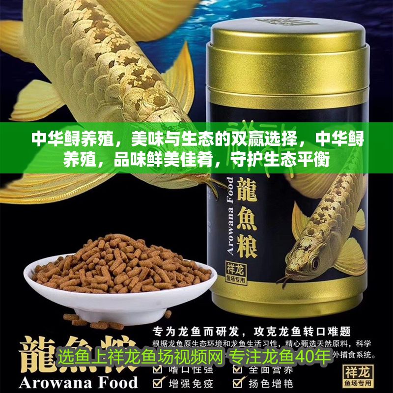 中華鱘養殖，美味與生態的雙贏選擇，中華鱘養殖，品味鮮美佳肴，守護生態平衡