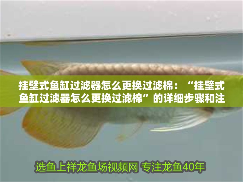 魚缸造景先放沙還是先放水(魚缸造景先鋪沙還是先放石頭) 掛壁式魚缸過濾器怎么更換過濾棉:“掛壁式魚缸過濾器怎么更換過濾棉”的詳細步驟和注意事項和頻率 魚缸百科 掛壁式魚缸過濾器怎么更換過濾棉:“掛壁式魚缸過濾器怎么更換過濾棉”的詳細步驟和注意事項和頻率 掛壁式魚缸過濾器怎么更換過濾棉:“掛壁式魚缸過濾器怎么更換過濾棉”的詳細步驟和注意事項和頻率 魚缸百科