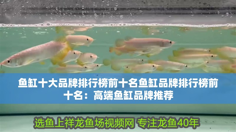 魚缸十大品牌排行榜前十名魚缸品牌排行榜前十名：高端魚缸品牌推薦