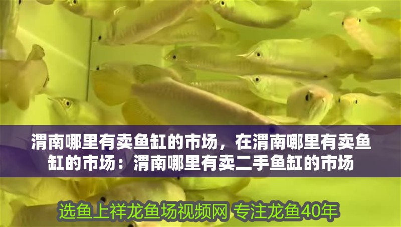 渭南哪里有賣魚缸的市場，在渭南哪里有賣魚缸的市場：渭南哪里有賣二手魚缸的市場