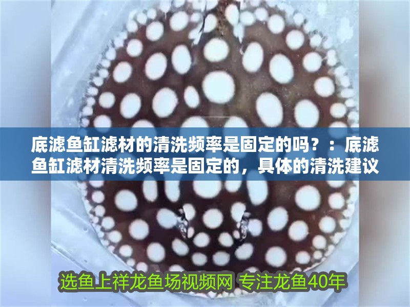 底濾魚缸濾材的清洗頻率是固定的嗎？：底濾魚缸濾材清洗頻率是固定的，具體的清洗建議是什么