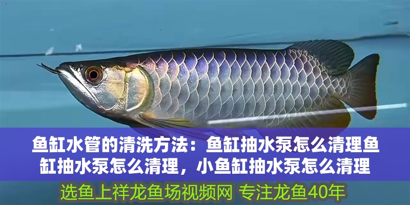 魚缸水管的清洗方法：魚缸抽水泵怎么清理魚缸抽水泵怎么清理，小魚缸抽水泵怎么清理