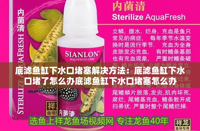 底濾魚缸下水口堵塞解決方法：底濾魚缸下水口堵了怎么辦底濾魚缸下水口堵塞怎么辦